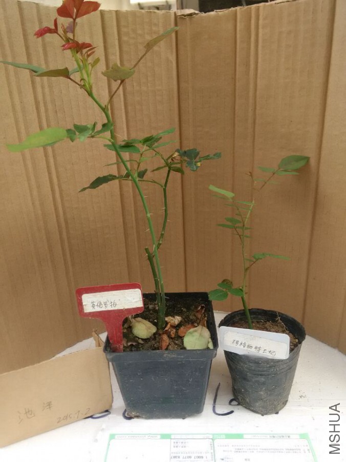 QQͼƬ20150702115544.jpg