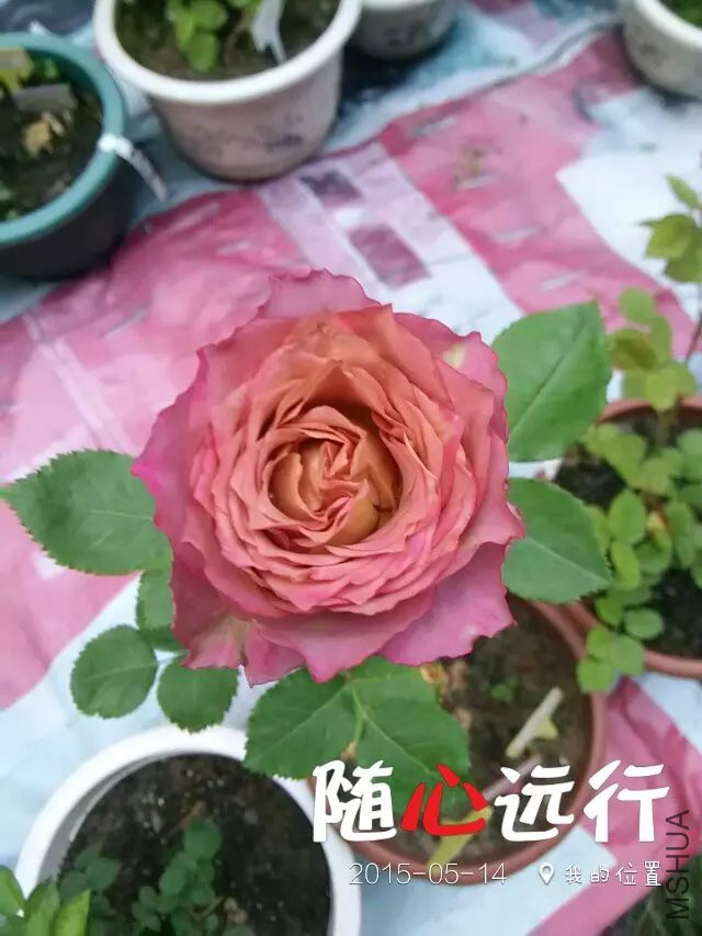 ����