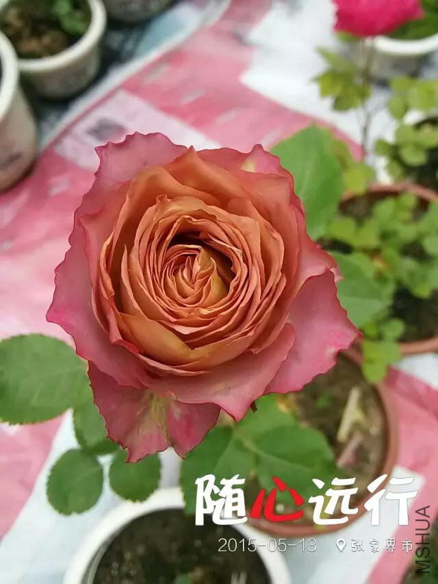 ����