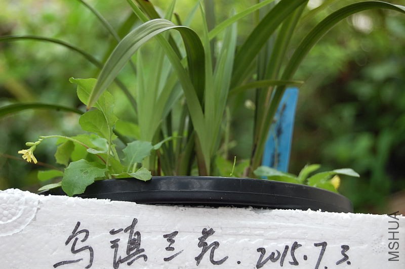 DSC_01590159.JPG