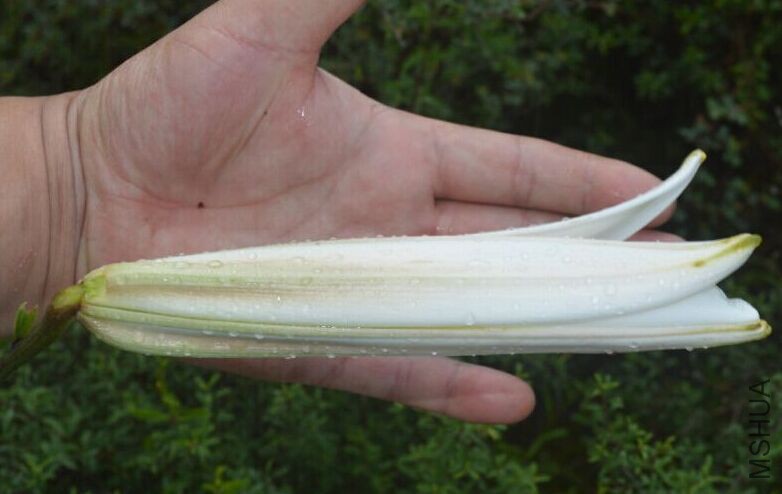 �տ�ʼ���ģ�