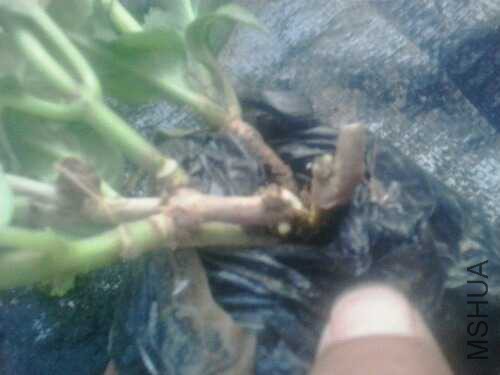 20150611_182631.jpg