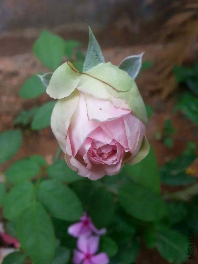 �������