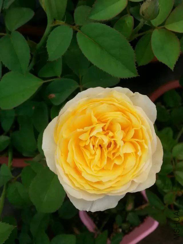 �����˶�֪���� ����