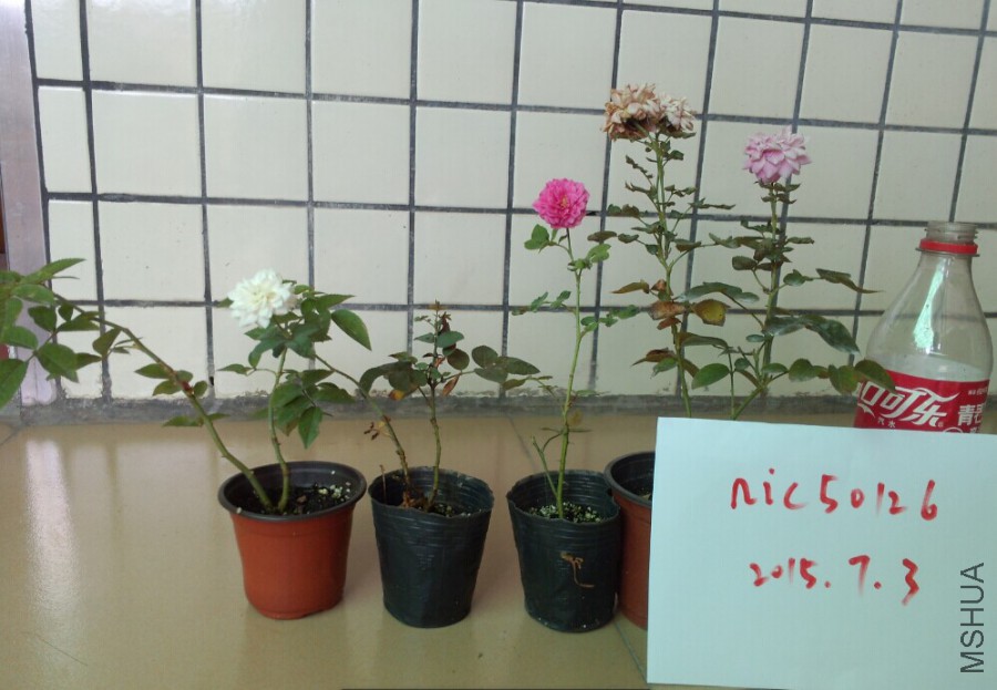 QQͼƬ20150703151107.jpg