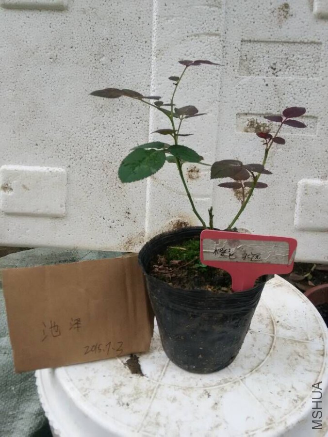 QQͼƬ20150703182854.jpg