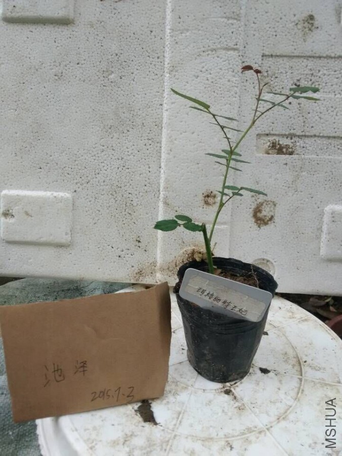 QQͼƬ20150703182858.jpg