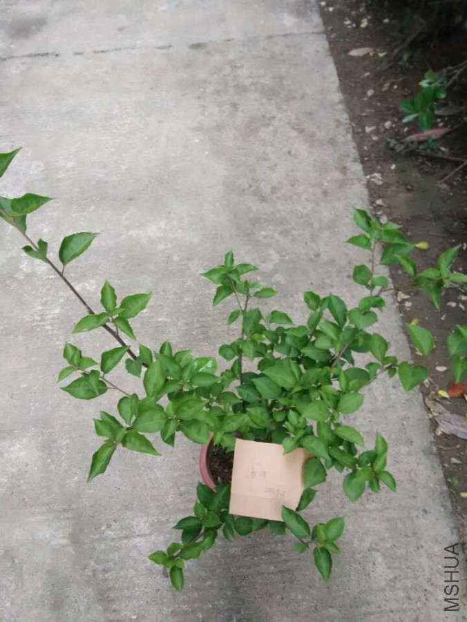 QQͼƬ20150703182911.jpg