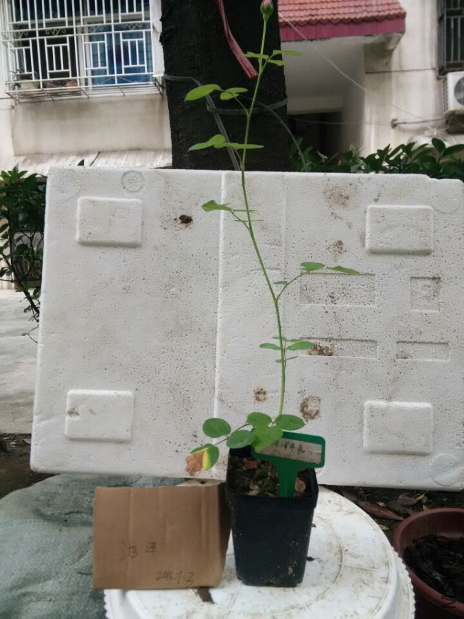 QQͼƬ20150703182915.jpg