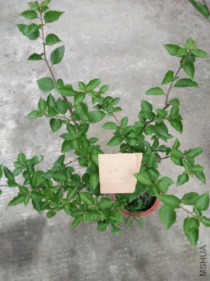 QQͼƬ20150703182923.jpg