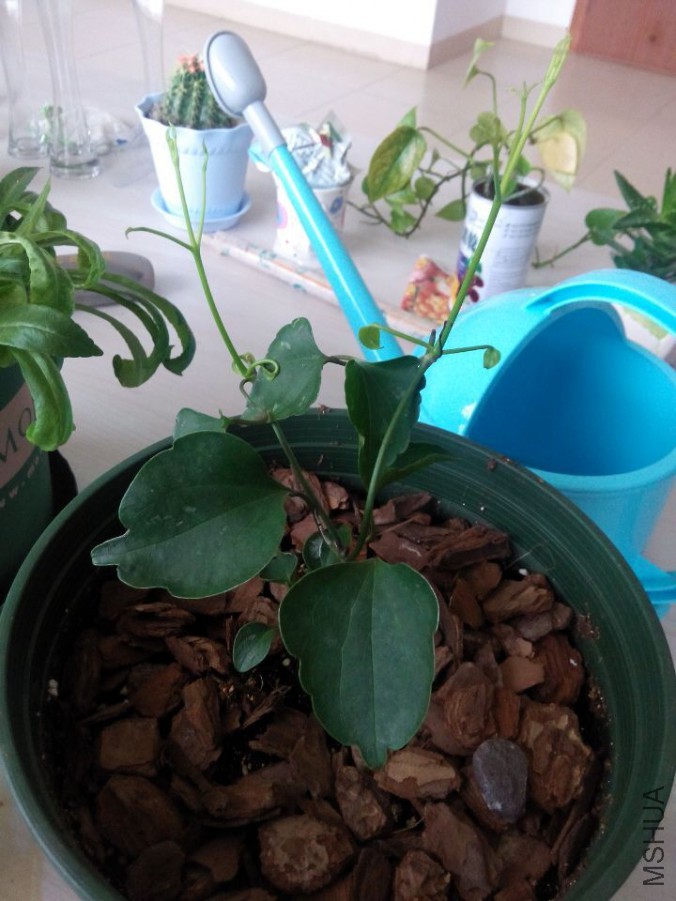 QQͼƬ20150704175610.jpg