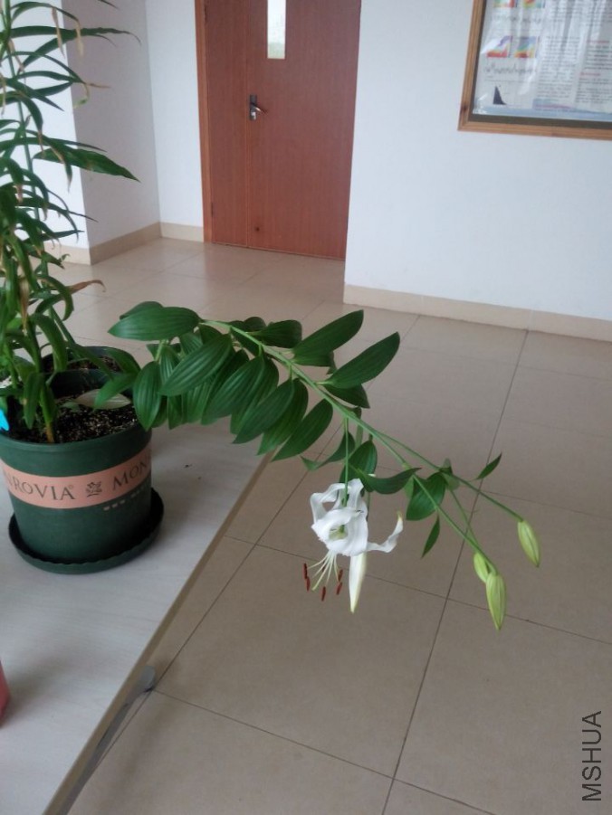 QQͼƬ20150704175549.jpg