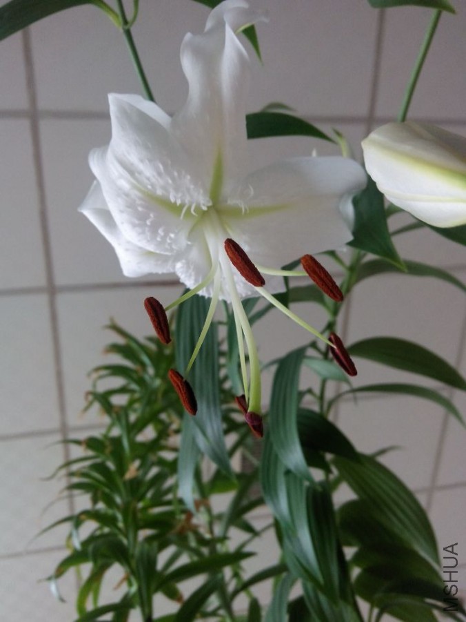 QQͼƬ20150704175601.jpg