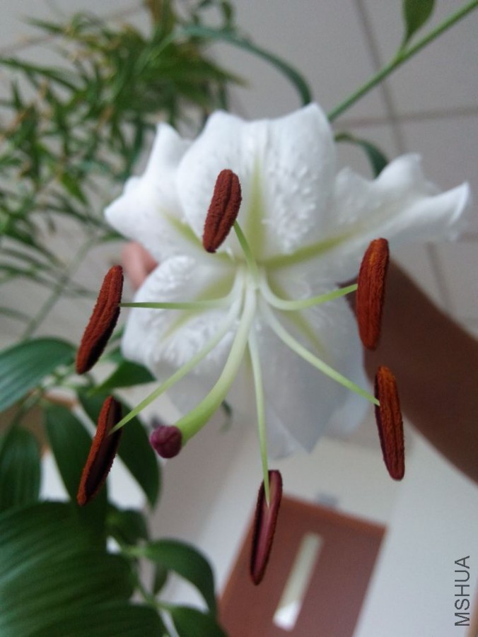 QQͼƬ20150704175540.jpg