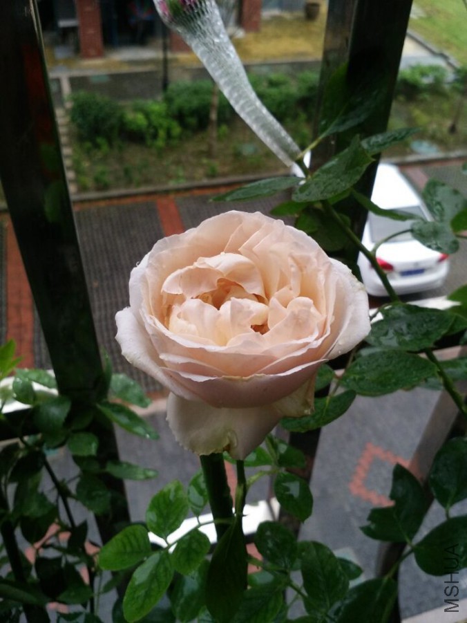QQͼƬ20150704200410.jpg