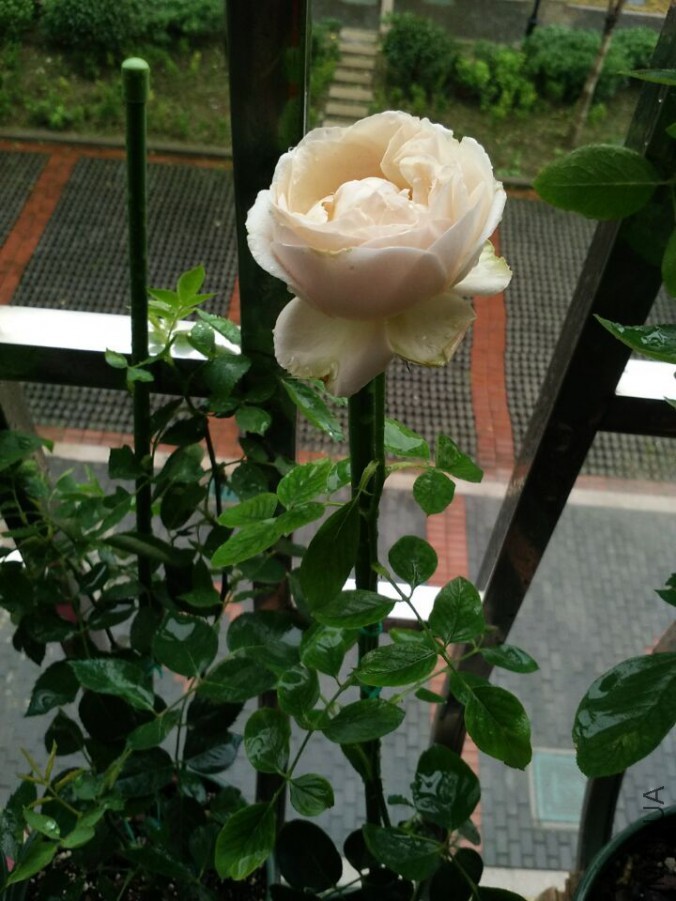 QQͼƬ20150704200428.jpg