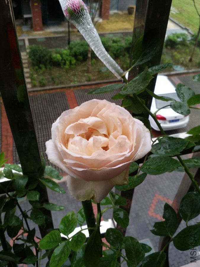 QQͼƬ20150704200431.jpg