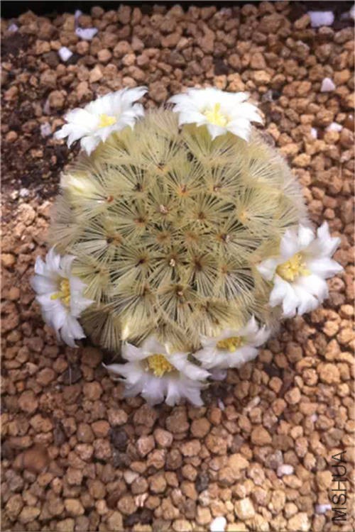 ������ .jpg