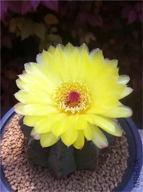 �Ϲ����� .jpg