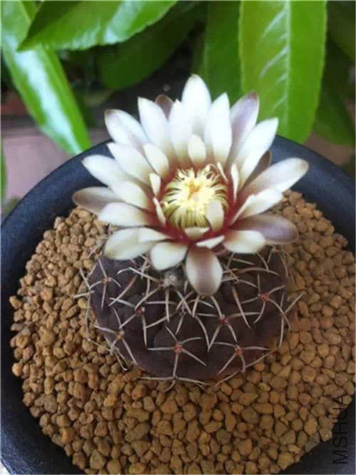 ����� .jpg