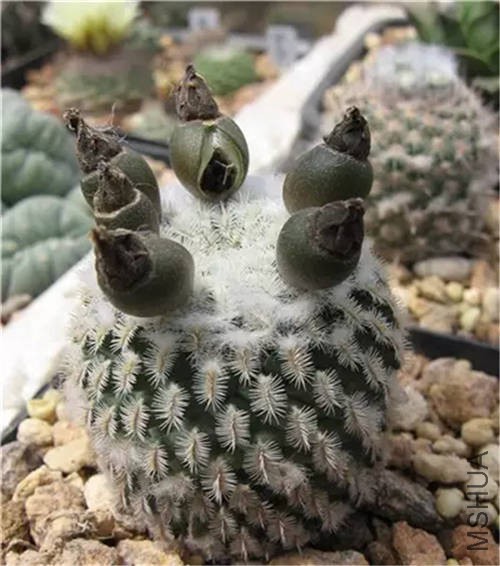 ��̵��ּ� .jpg