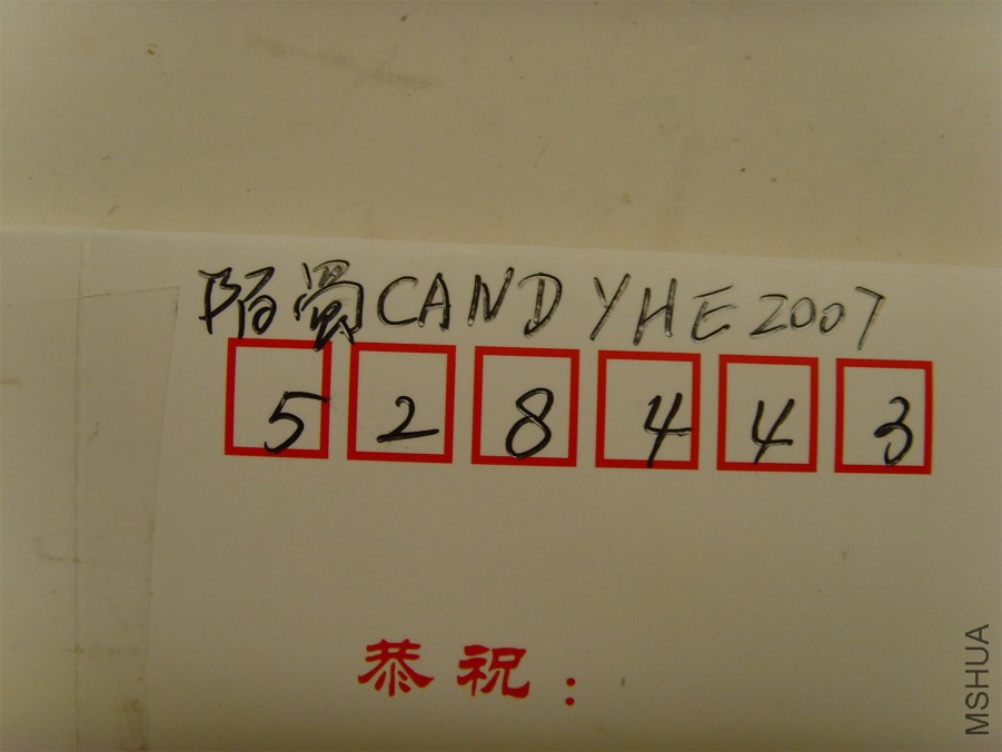 SNV39075.JPG