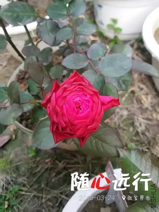 ����