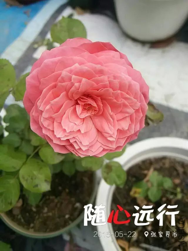 ����