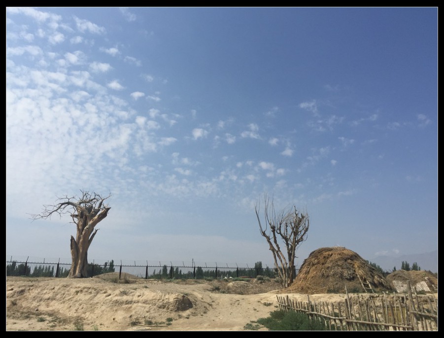 IMG_1700 - ���� (2).jpg