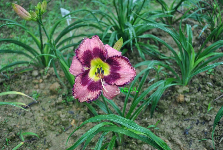 �λ���ȹ (8).jpg