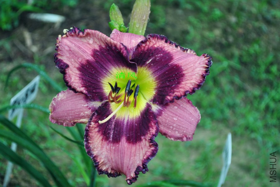 �λ���ȹ (4).jpg