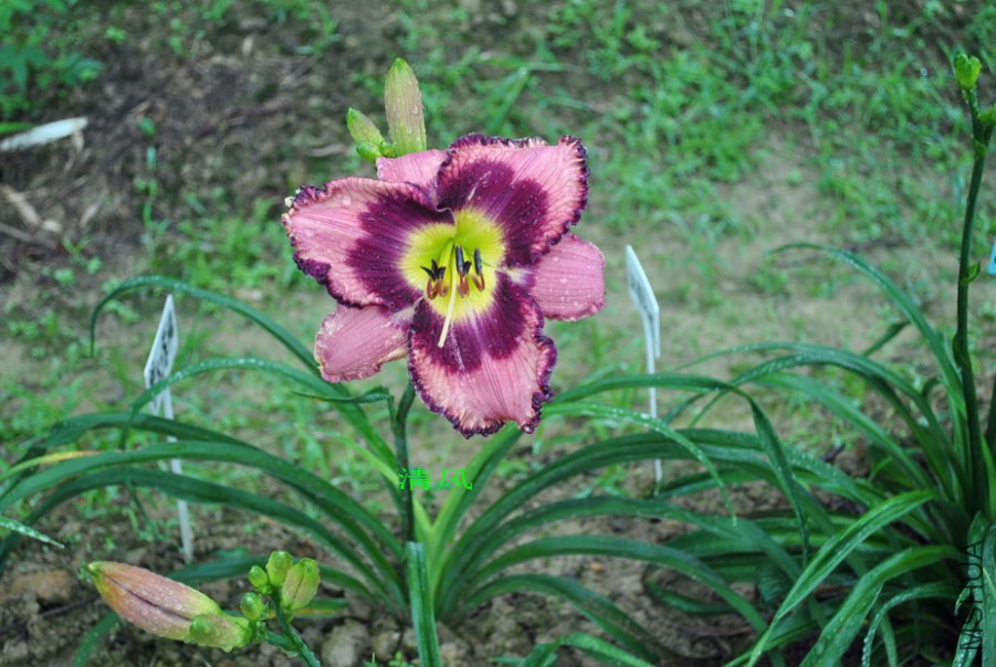 �λ���ȹ (6).jpg