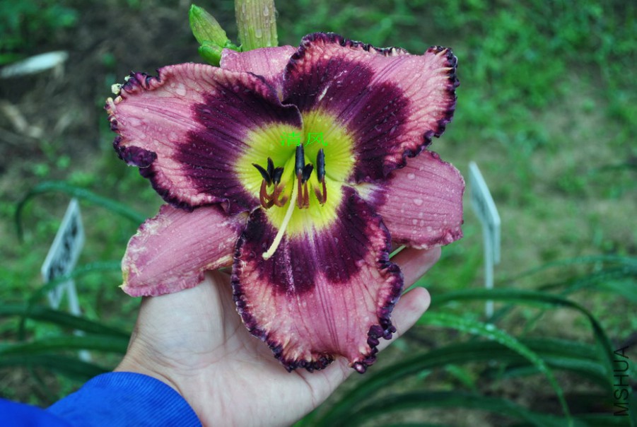 �λ���ȹ (7).jpg