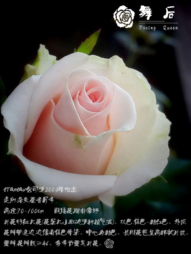 psb_����.jpg