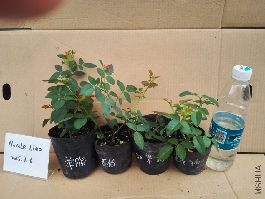 QQͼƬ20150706090942.jpg