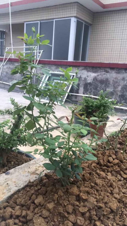 QQͼƬ20150706164234.jpg