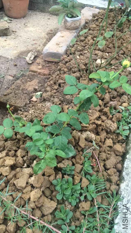 QQͼƬ20150706164230.jpg
