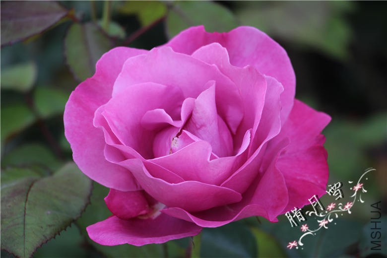 IMG_3407.jpg