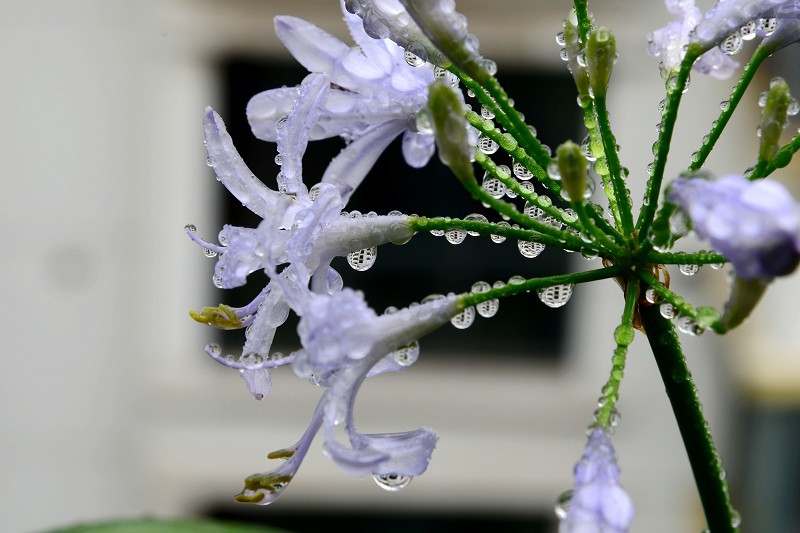 DSC_5401.jpg