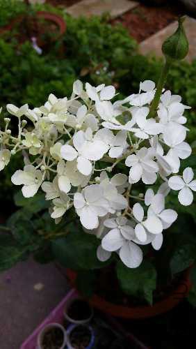 20150705_171255.jpg