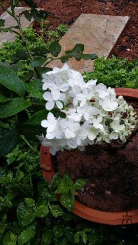 20150705_171244.jpg