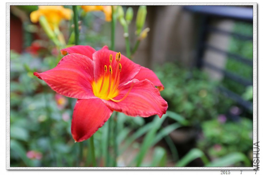 2015070712.jpg