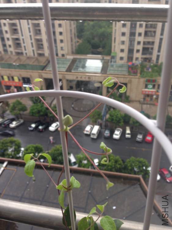 �ذ굤��