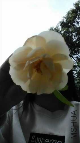 IMG_20150706_185240.jpg