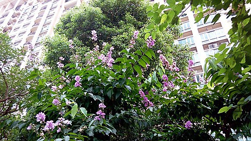 IMG_20150709_124131_����.jpg
