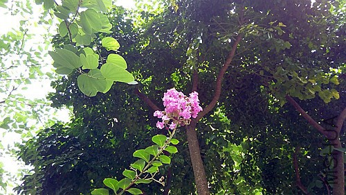 IMG_20150709_124200_����.jpg