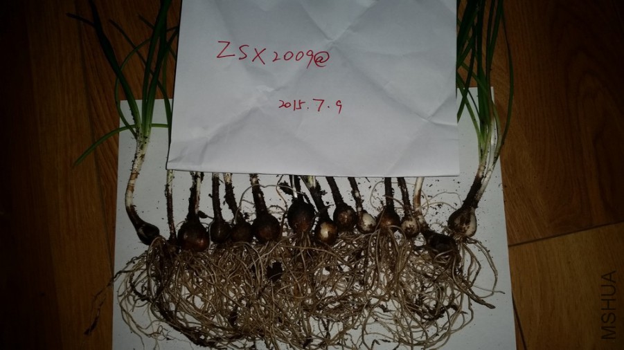 20150709_202458.jpg