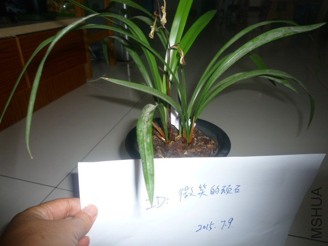 P1090801.JPG