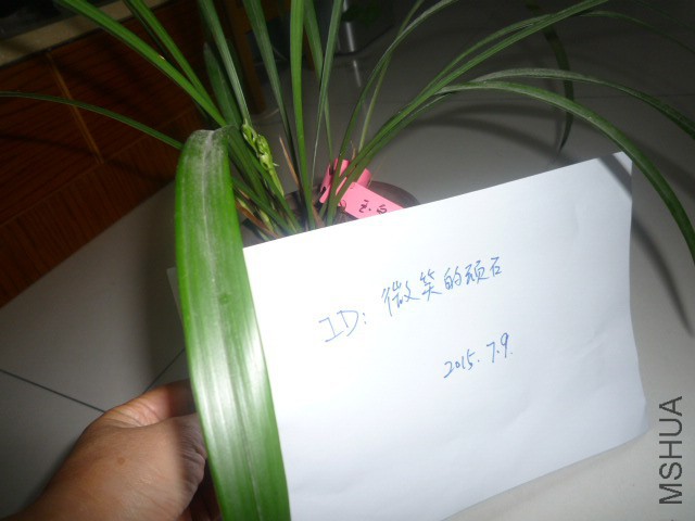P1090802.JPG