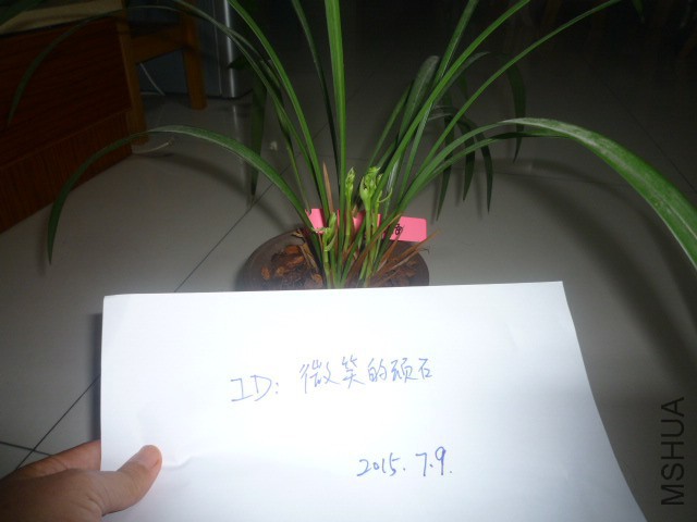 P1090803.JPG